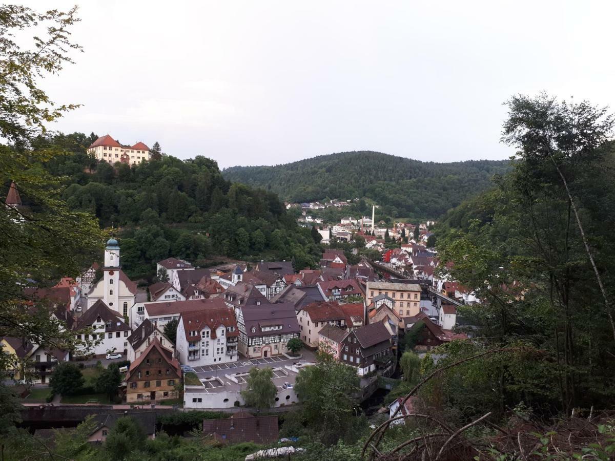Ferienwohnung Buchberg Exklusiv 诺伊恩比尔格 外观 照片
